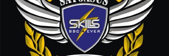 Gun SKILLS banner