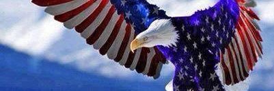 Daniel Campbell banner