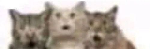 My name isn't Jerry. banner