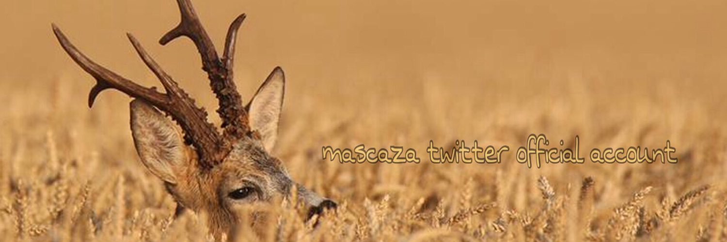 mascaza's profile banner image