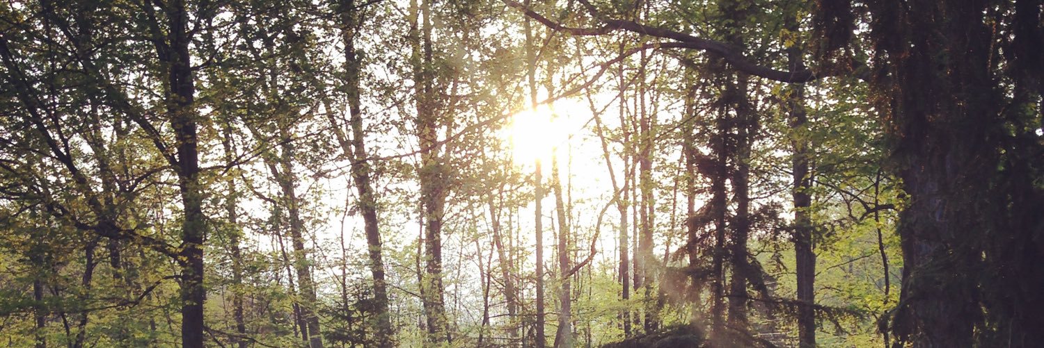 carolyo_'s profile banner image