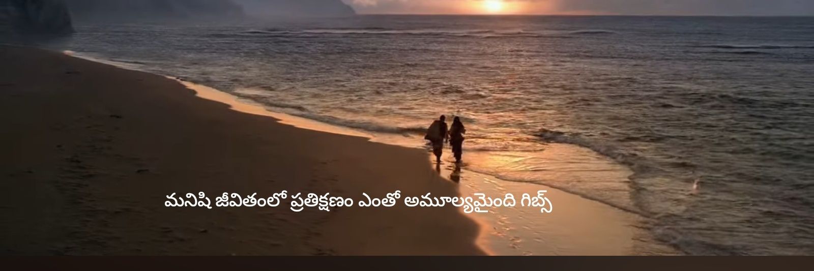 రోర్క్ banner