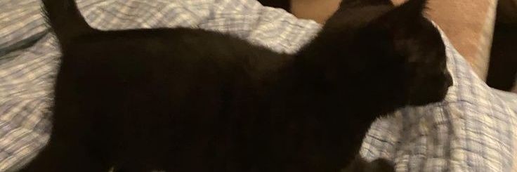 N/A banner