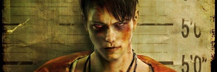 Warren banner