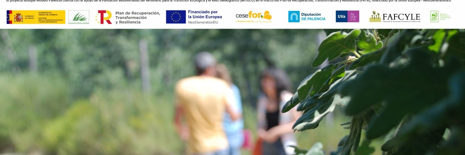 Proyecto_BMPalencia's banner