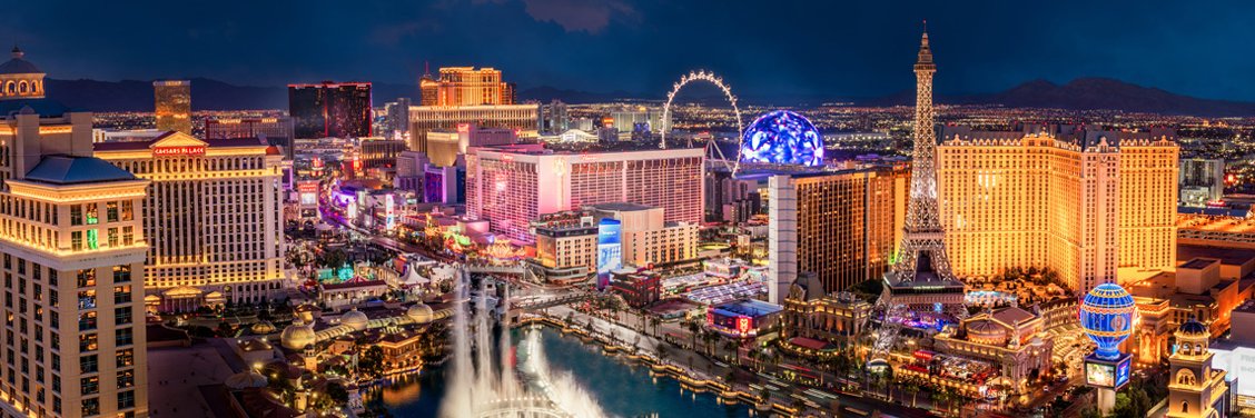 Vegas Means Business banner