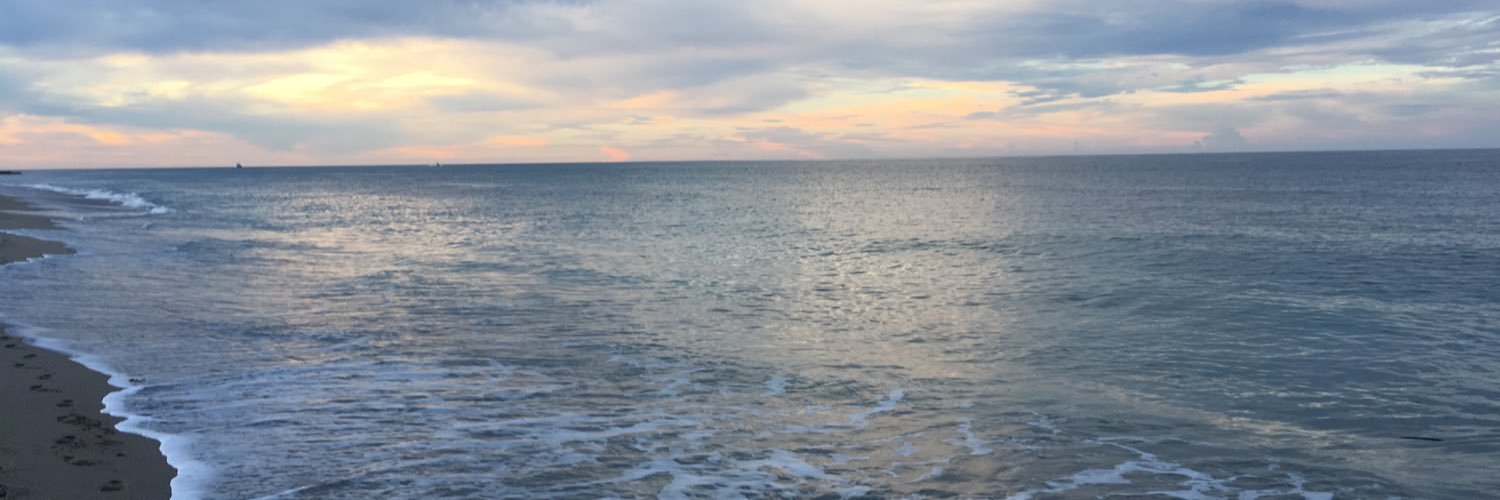 natsause's profile banner image