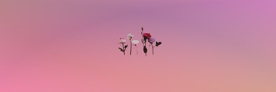 ⋆. 𐙚 ˚귀엽 쉬어는 해빛을 셰나인데요☀️ banner