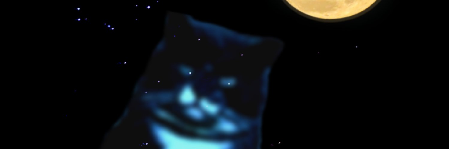Rin banner