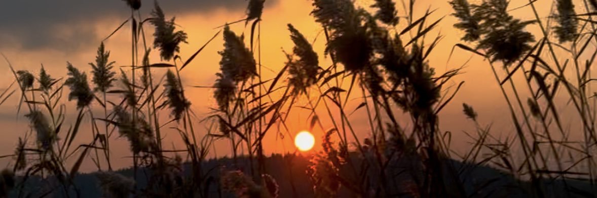 Staca6's profile banner image