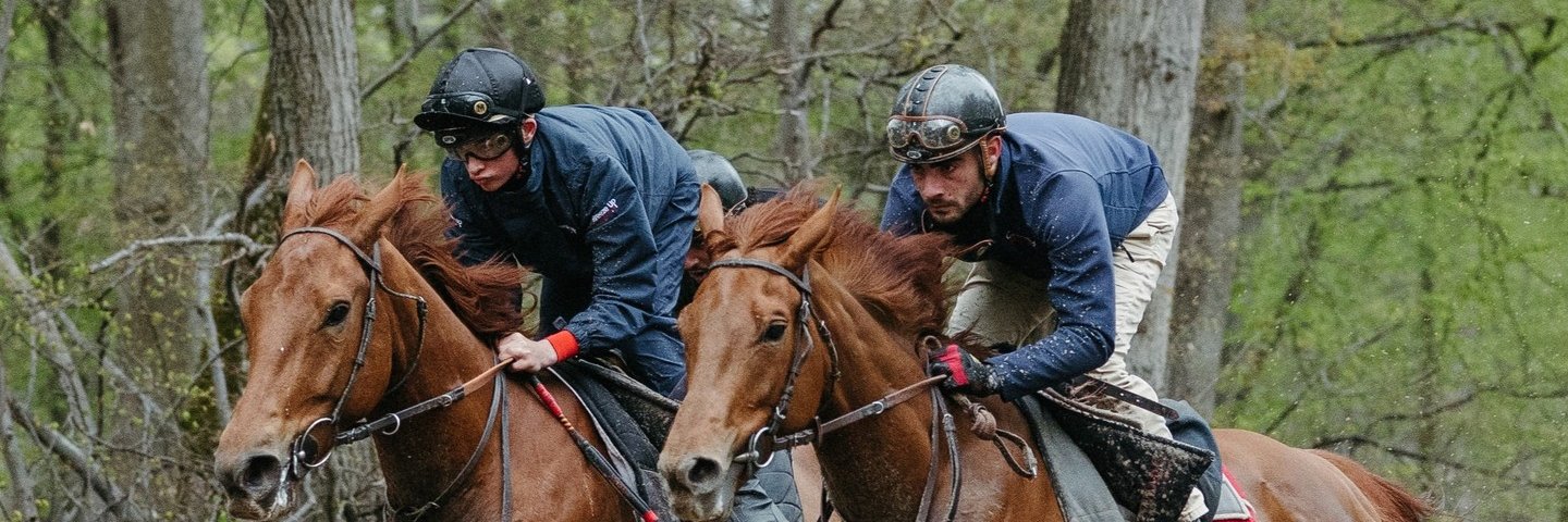 Chantilly Thoroughbreds banner