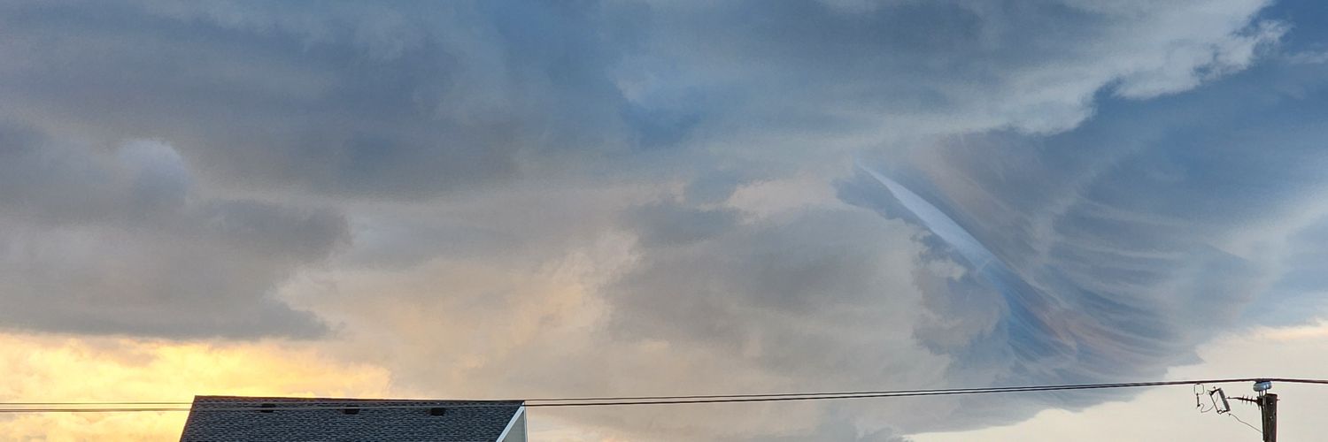 Voice of Reason's banner