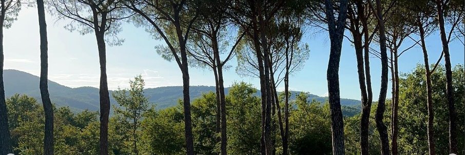 doraafps's profile banner image