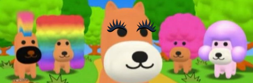 도이(되맹꽁) banner