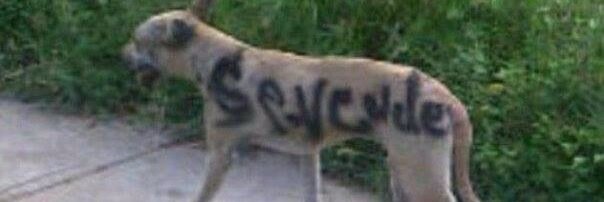 deleinyalvarez's profile banner image