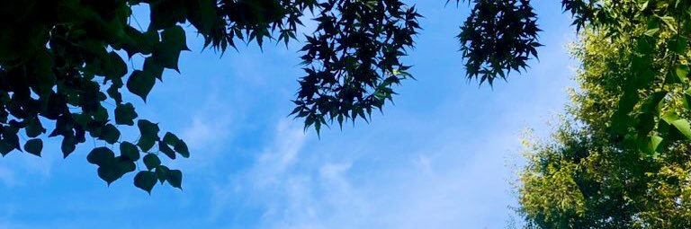 あちゃん's banner