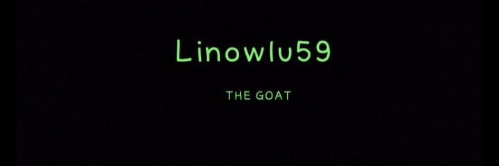 Linowlu59_On_Twitch banner