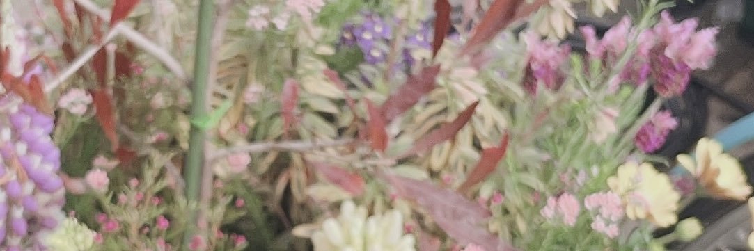Huu🌼 banner