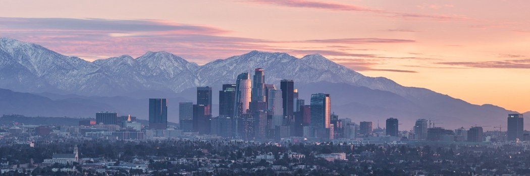 Asher Hoffman banner