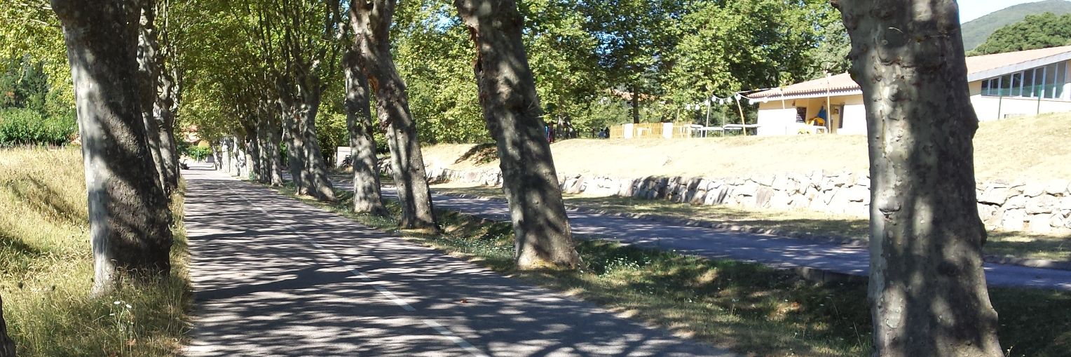 Bernat Monzó banner