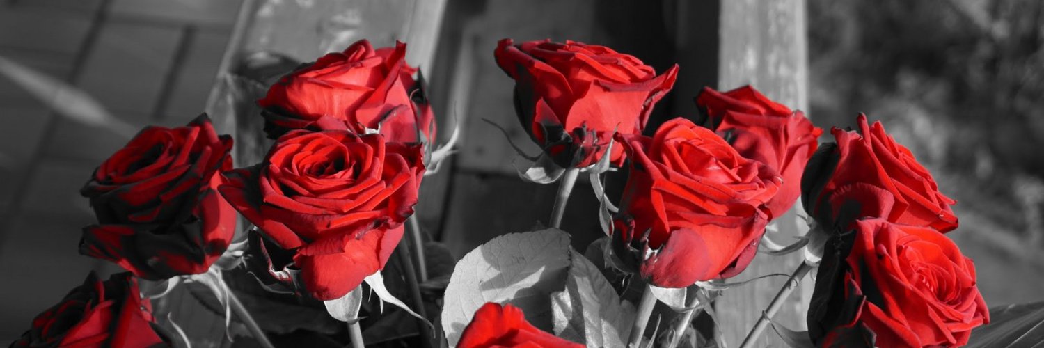 HartVixy69's profile banner image