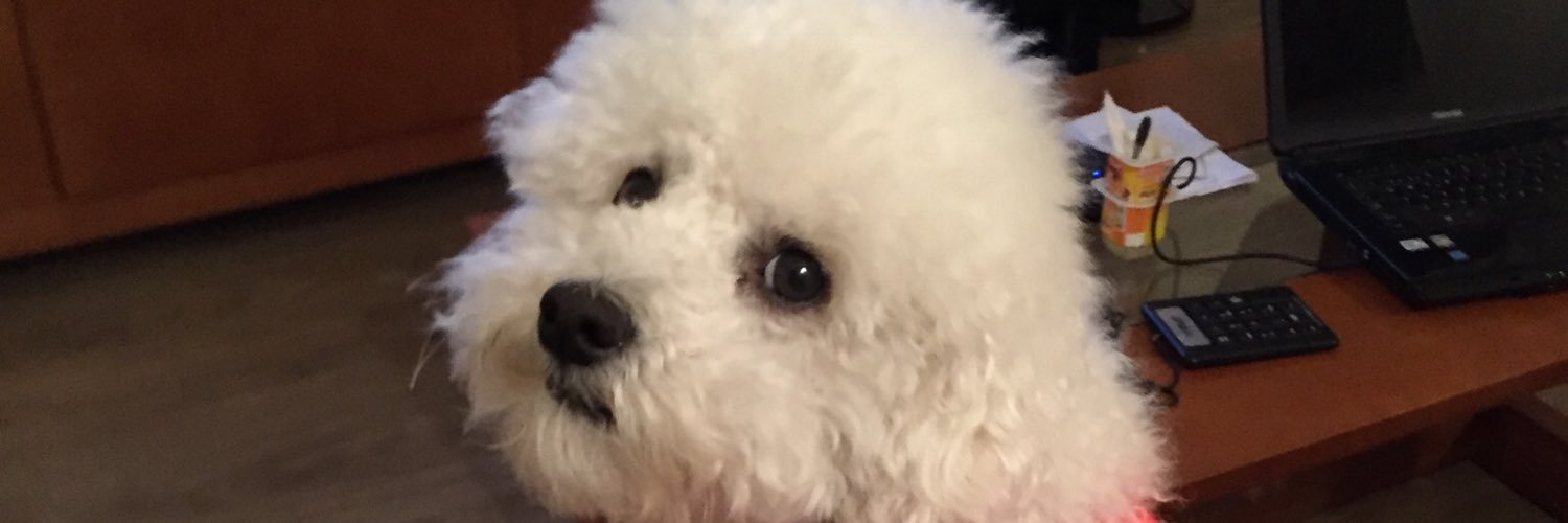 GMOFIX's profile banner image