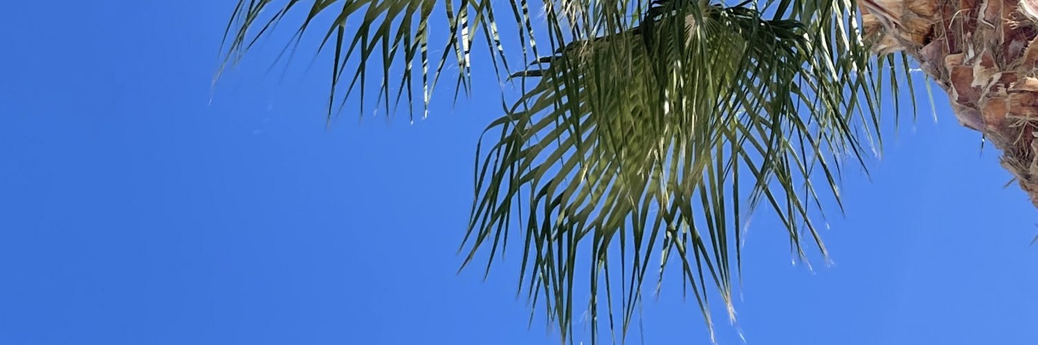 samaxw's profile banner image