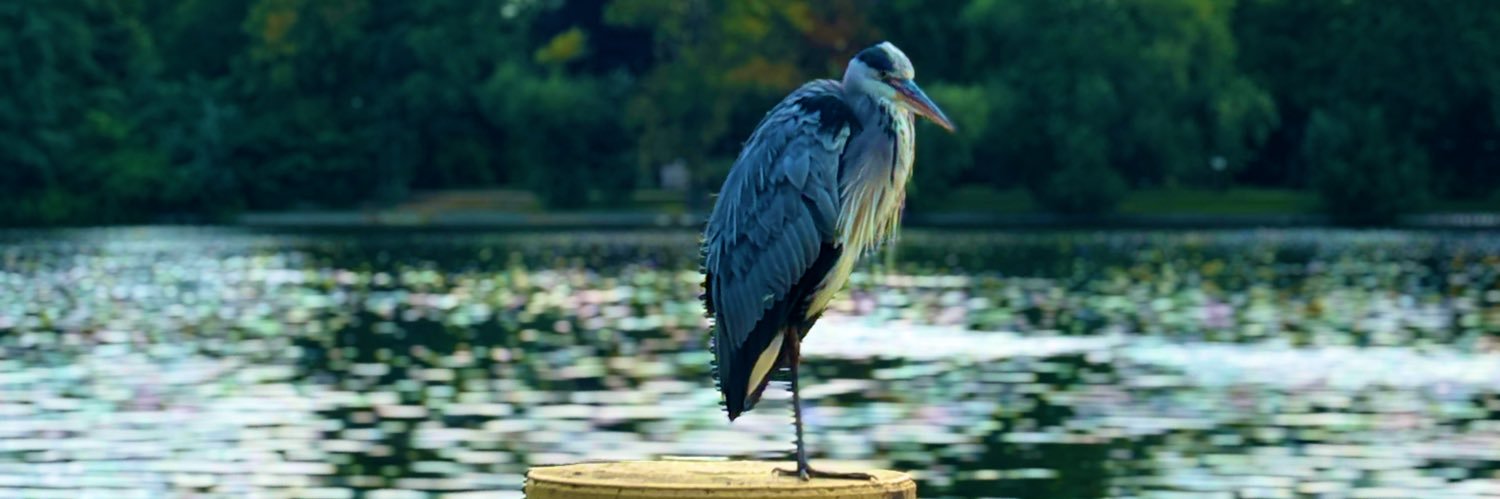 ibnvakbar's profile banner image