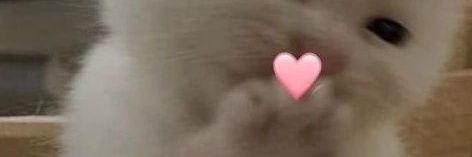 Мягкая Комната🏳️‍🌈 banner