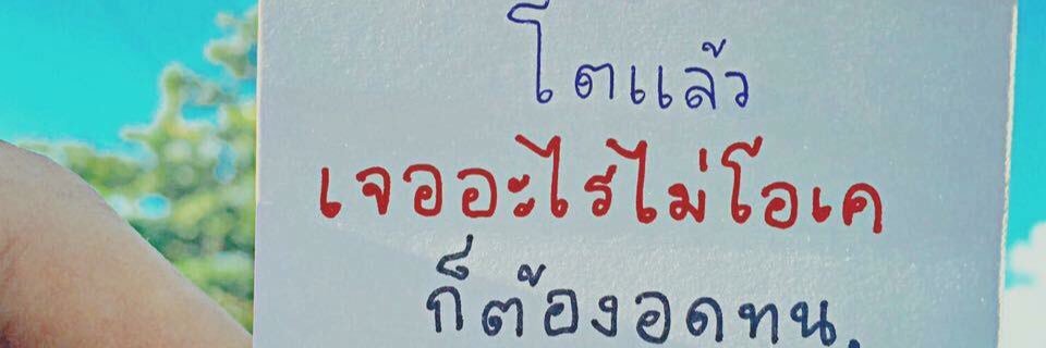 TREEii's profile banner image
