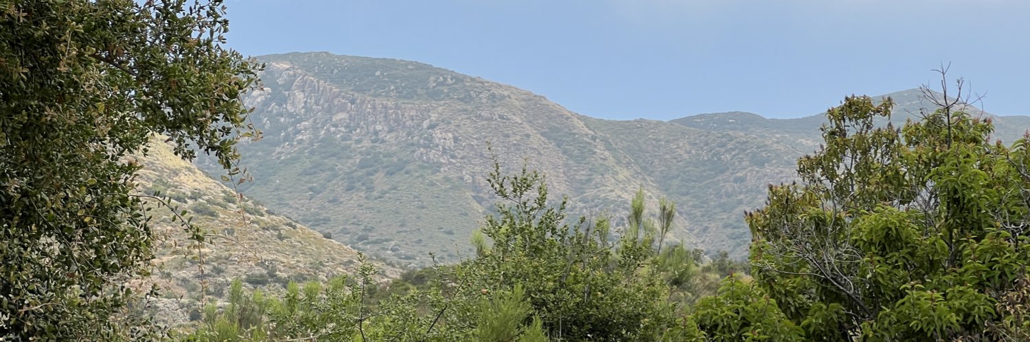 rbj banner