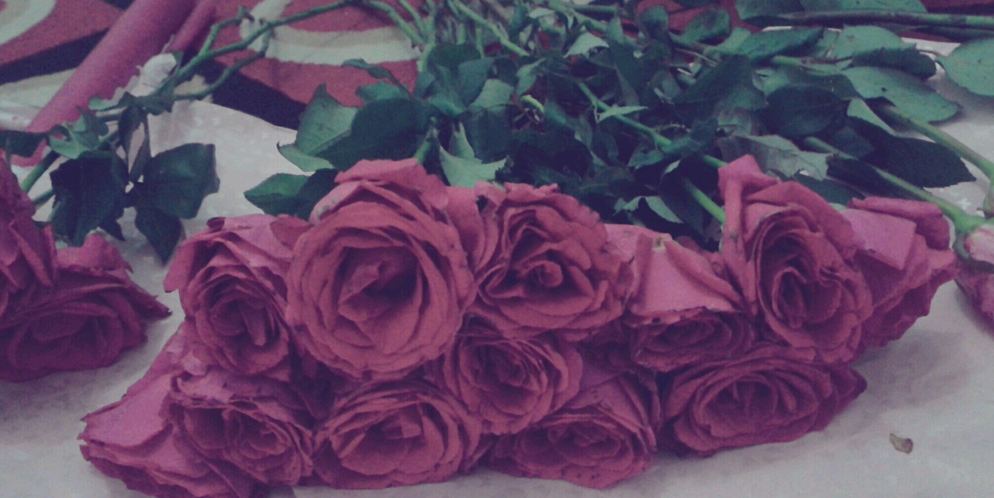 nanamaliyah's profile banner image