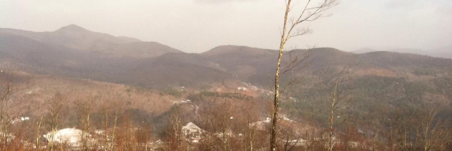 Matt Bird Smith banner