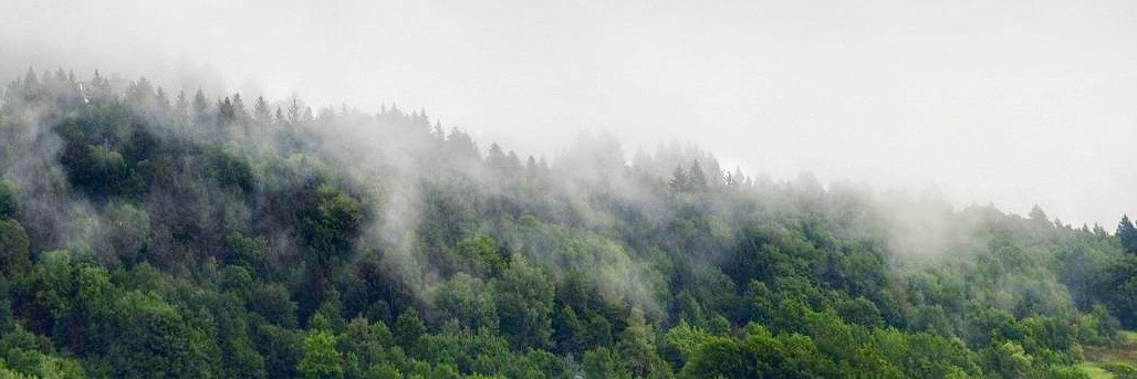Fabyy_R's profile banner image