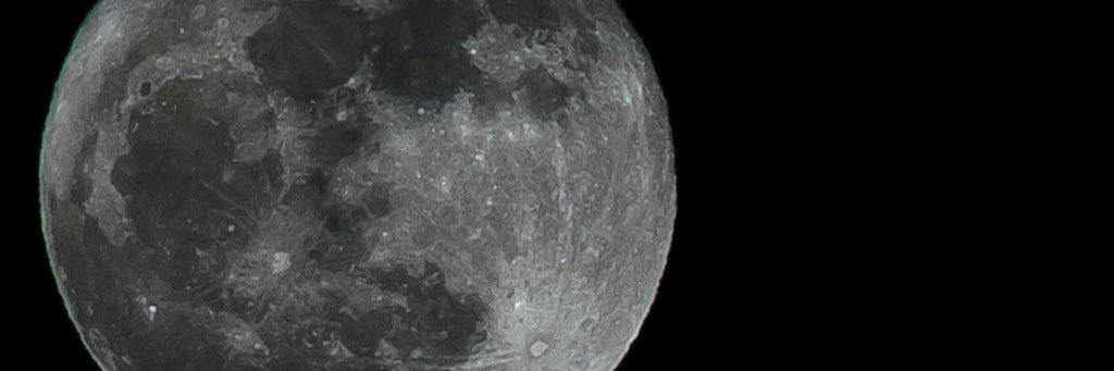 Sandra Dee banner
