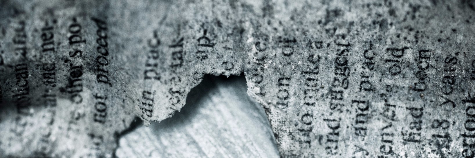 header image