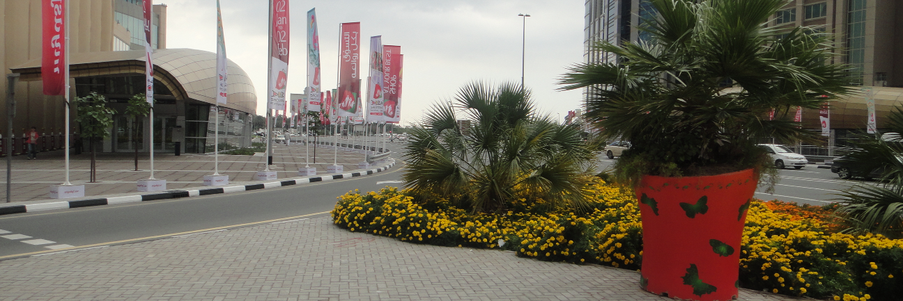 Ziad Allaghi banner
