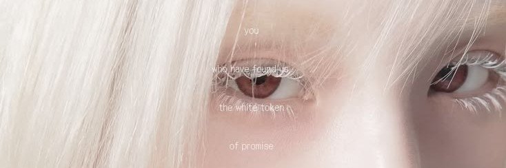 lattechiio's profile banner image
