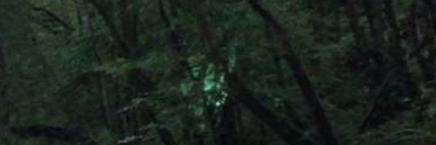 Beasthunters's profile banner image