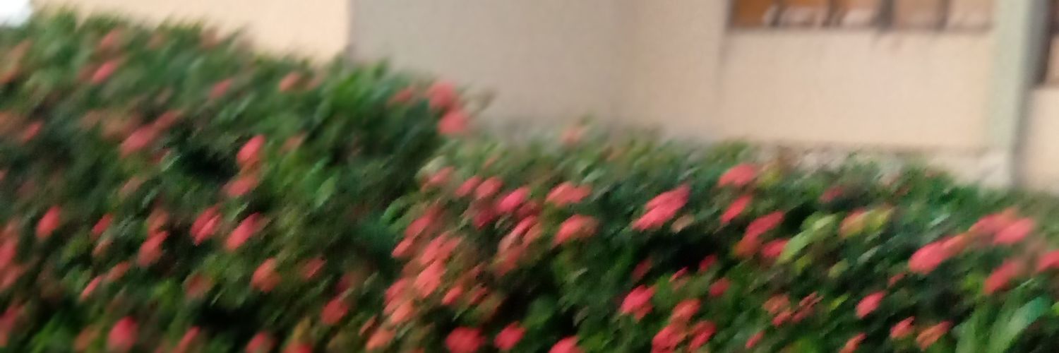 Bello Ademola banner