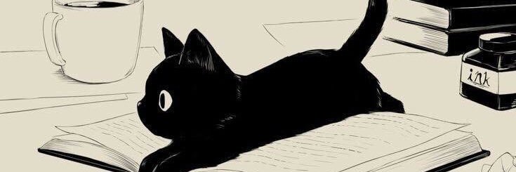vierriani's profile banner image
