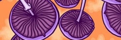Jimena Outeiro banner