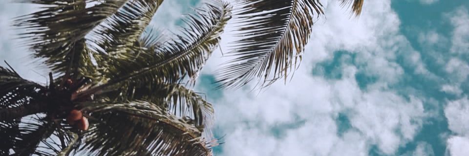 Gilngngrha's profile banner image
