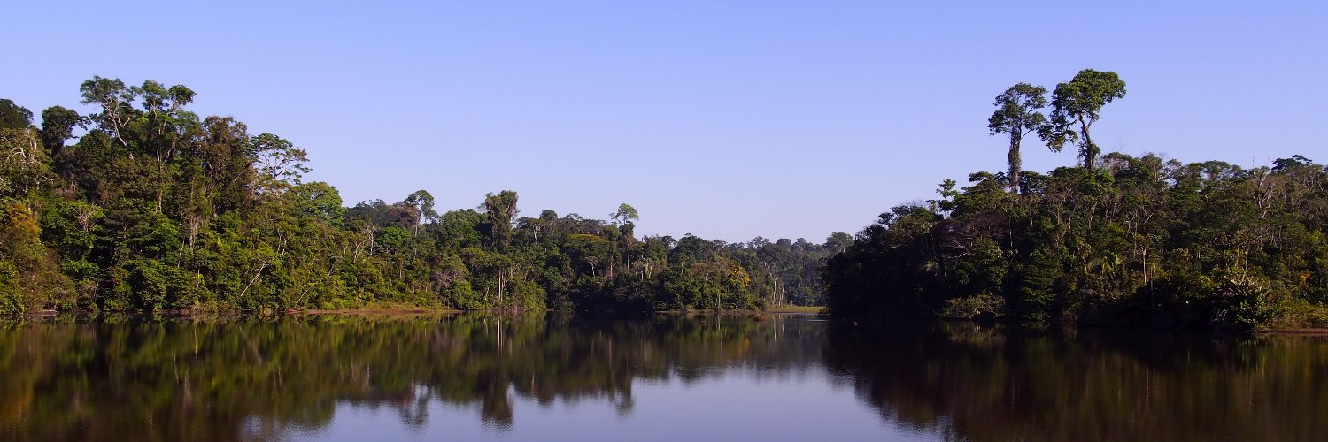 Leonardo Torres banner