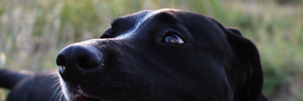 DavidORDZ's profile banner image