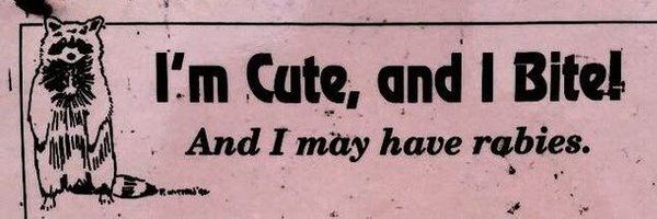 weird0rion Profile Banner