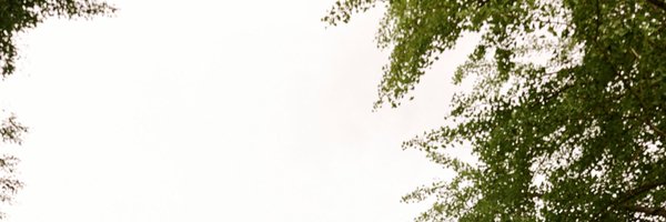 ia_319 Profile Banner