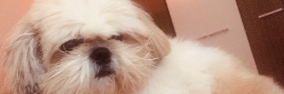dalva_nery's profile banner image