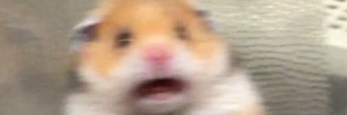 __creeper's profile banner image
