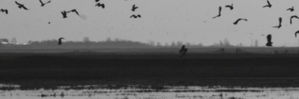 Proctor_45's profile banner image